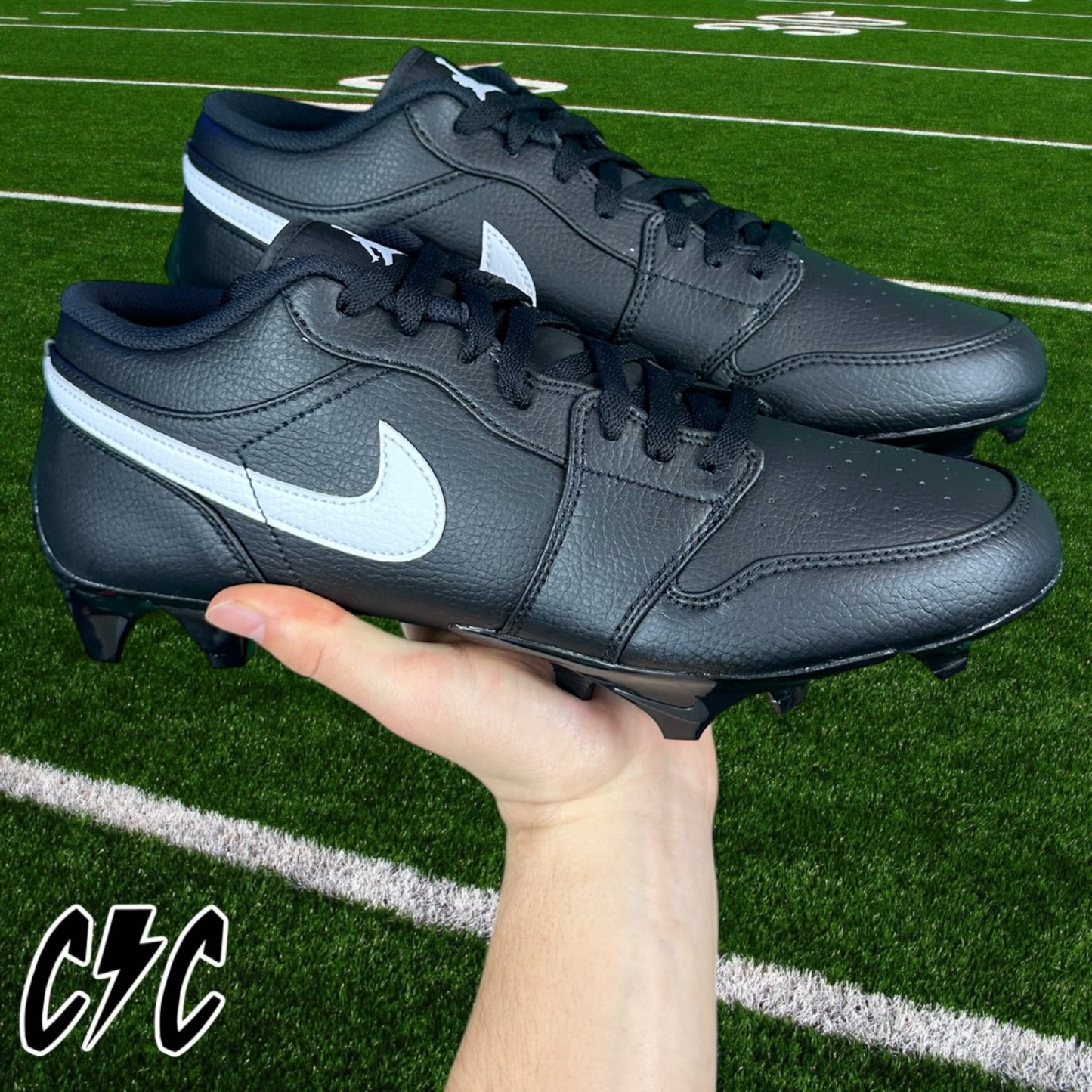 Jordan 1 Low TD