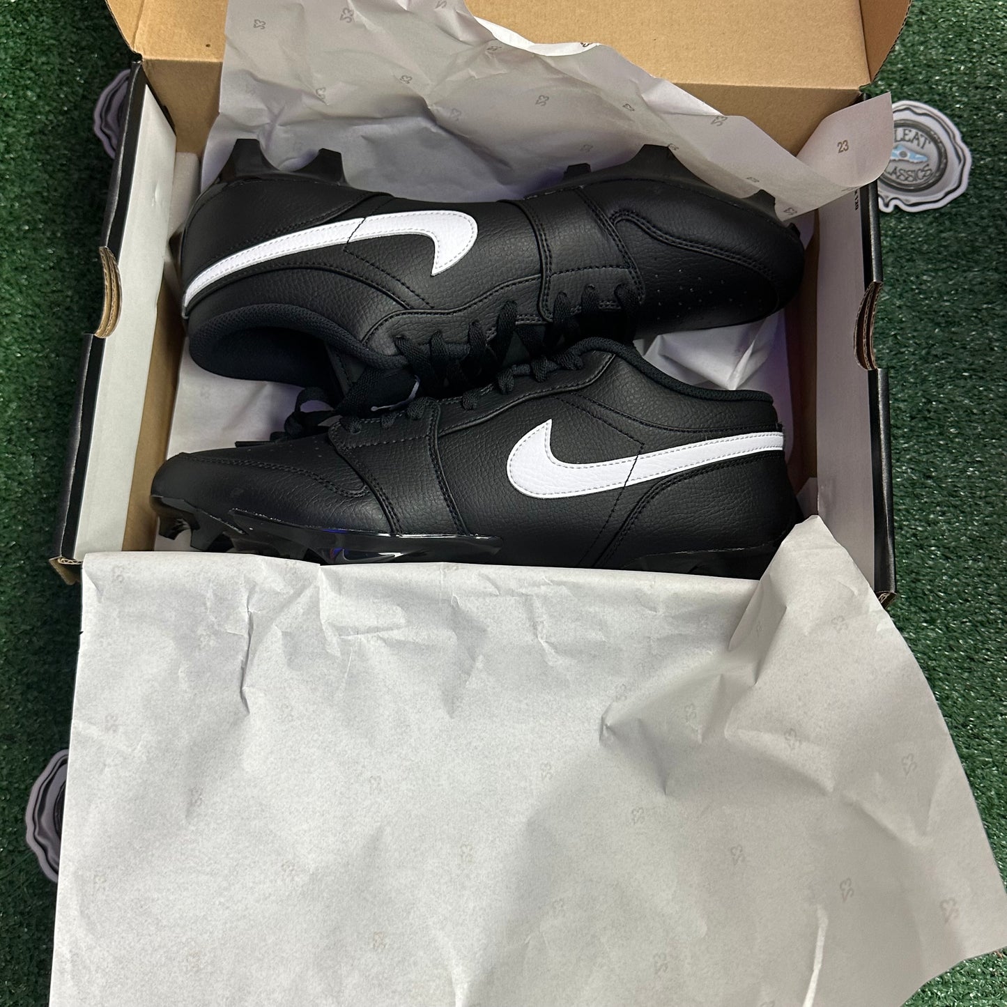 Jordan 1 Low TD